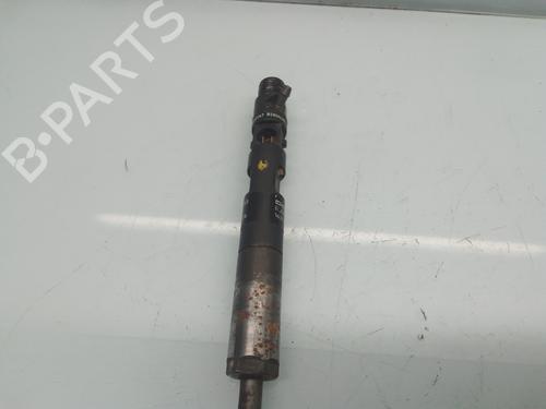 Injektor für RENAULT MEGANE II (BM0/1_, CM0/1_) [2001-2012]  30858051