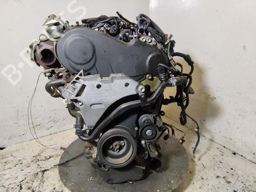 Engine VW TIGUAN (5N_) | BP38014533M1 - Image 4