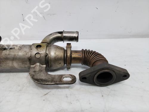 Egr FIAT SCUDO Van (270_, 272_)  | BP29962762M69