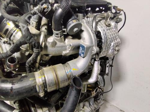 Engine KIA SPORTAGE IV (QL, QLE)  | BP31604963M1 