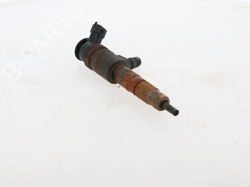 Injector CITROËN C3 II (SC_) | BP29612115M100