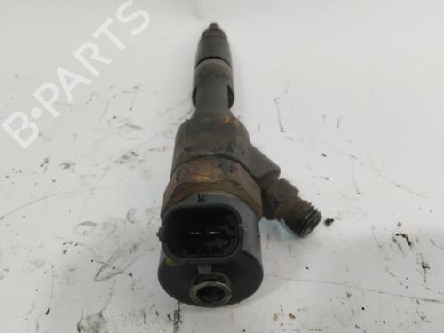 Insprojtnings dyse RENAULT MEGANE II (BM0/1_, CM0/1_) 1.9 dCi (131 hp) 27217704