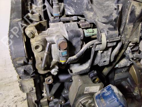 Engine RENAULT CLIO III (BR0/1, CR0/1)  | BP35736982M1  - Image 11