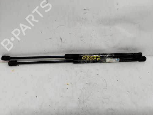 Used Tailgate lift support NISSAN QASHQAI / QASHQAI +2 I (J10, NJ10, JJ10E) 1.5 dCi (103 hp) 24812523