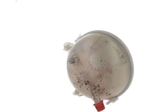 Used Expansion tank VW GOLF VII (5G1, BQ1, BE1, BE2) [2012-2021]  29420528
