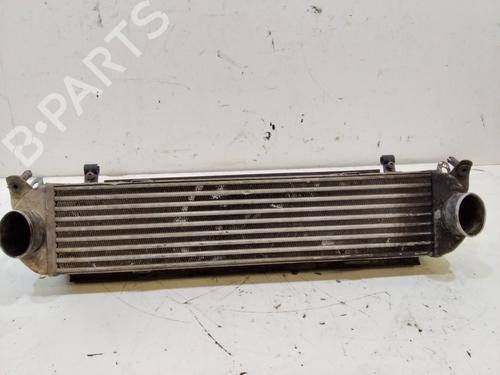 Used Intercooler LAND ROVER DISCOVERY III (L319) 2.7 TD 4x4 (190 hp) 17484850