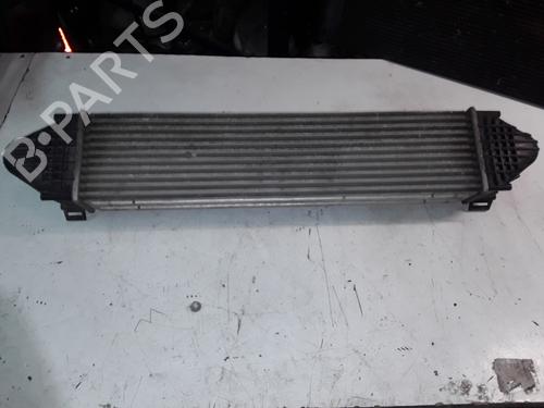 Intercooler LAND ROVER FREELANDER 2 (L359) 2.2 eD4 | BP9687871M30 