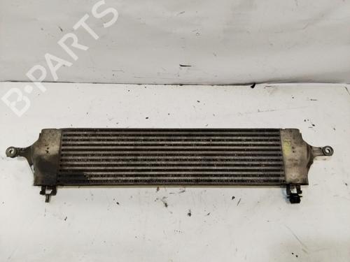 Used Intercooler NISSAN QASHQAI I (J10, NJ10) [2006-2015]  29634769