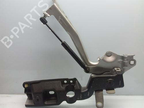 Cofano anteriore RENAULT SCÉNIC III (JZ0/1_) 1.4 16V (JZ0F, JZ1V) (131 hp) 10228936