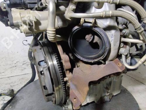 Engine FORD FOCUS IV (HN) | BP39065151M1 - Image 5