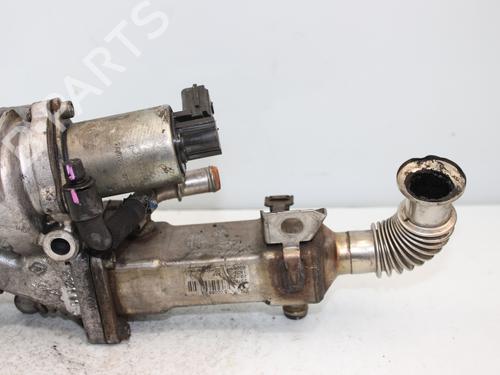 Egr RENAULT GRAND SCÉNIC II (JM0/1_) 1.9 dCi (JM0G, JM12, JM1G, JM2C) | BP17968827M69 