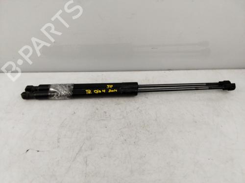 Achterklepdemper RENAULT CLIO IV (BH_) [2012-2021]  23271922