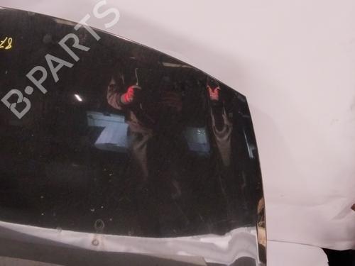 Hood RENAULT CLIO III (BR0/1, CR0/1)  | BP24989064C1 
