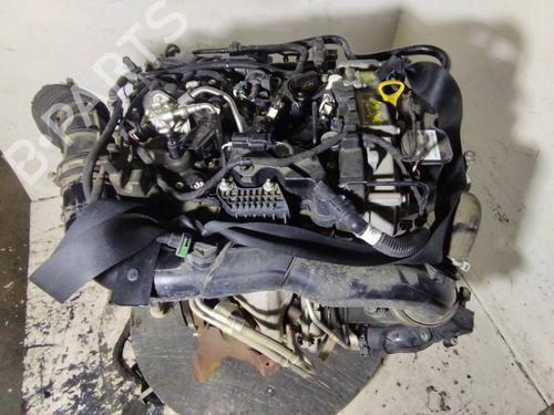 Engine FORD FOCUS IV (HN) | BP39065151M1 - Image 3