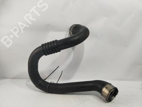 Rør RENAULT MEGANE III Hatchback (BZ0/1_, B3_) [2008-2025]  30200454