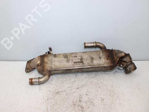 Egr MERCEDES-BENZ M-CLASS (W163) ML 270 CDI (163.113) | BP17968835M69 