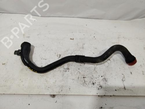 Used Pipe RENAULT MEGANE II (BM0/1_, CM0/1_) [2001-2012]  30813437