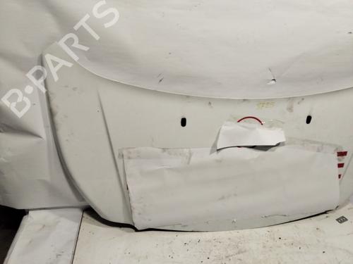 Hood FORD TRANSIT CONNECT V408 Box Body/MPV  | BP29547643C1 