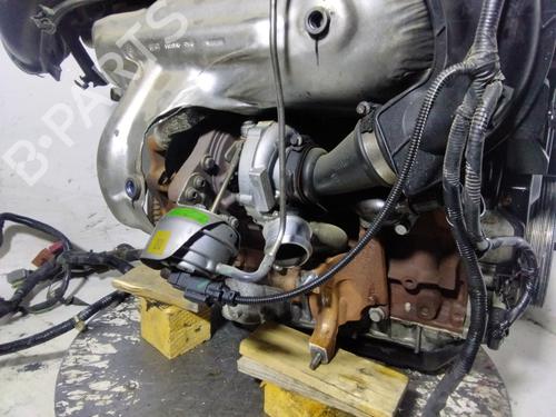 Engine FORD MONDEO IV (BA7)  | BP32495096M1  - Image 10