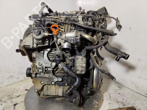 Engine VW TIGUAN (5N_) | BP36215148M1 - Image 10