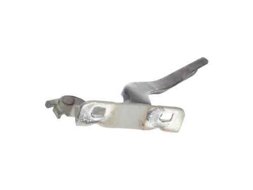 Hinge/Door check strap NISSAN QASHQAI I (J10, NJ10)  | BP29928856C146 
