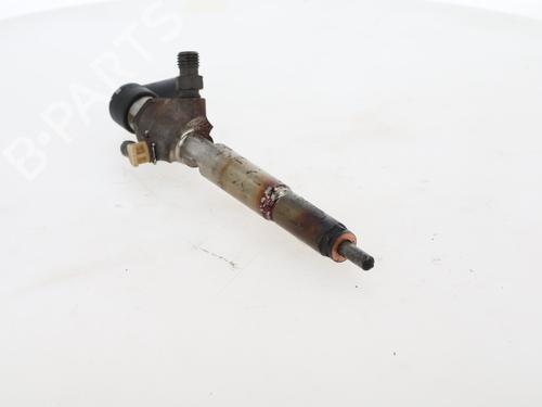 Injector RENAULT SCÉNIC II (JM0/1_)  | BP29616905M100