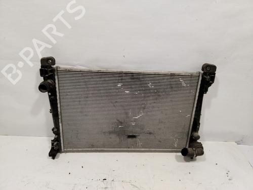 Used Water radiator LANCIA DELTA III (844_) [2008-2014]  28502149