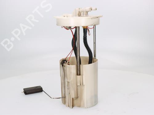 Fuel pump FORD TOURNEO CONNECT / GRAND TOURNEO CONNECT V408 MPV 1.6 TDCi | BP29161319M76 