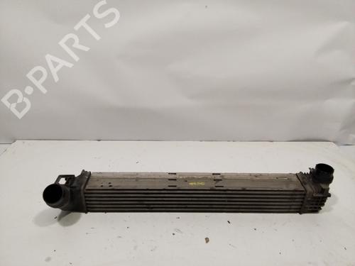 Used Intercooler RENAULT MEGANE III Coupe (DZ0/1_) [2008-2016]  28808194