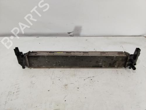 Intercooler Intercooler VW POLO V (6R1, 6C1) [2009-2022] 36069759 36069759