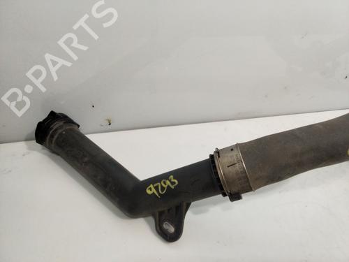Pipe RENAULT MEGANE III Hatchback (BZ0/1_, B3_) 1.2 TCe (BZ16, BZ28) | BP29616887M125 