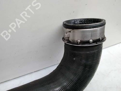 Pipe SEAT ALTEA (5P1)  | BP14053419M125 