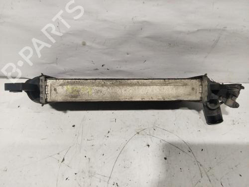 Intercooler NISSAN NAVARA NP300 (D40) 2.5 dCi 4WD (D40TT, D40T, D40M, D40BB) | BP30290876M30