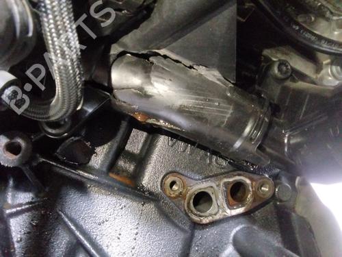 Engine VW GOLF VII (5G1, BQ1, BE1, BE2)  | BP33759035M1  - Image 19