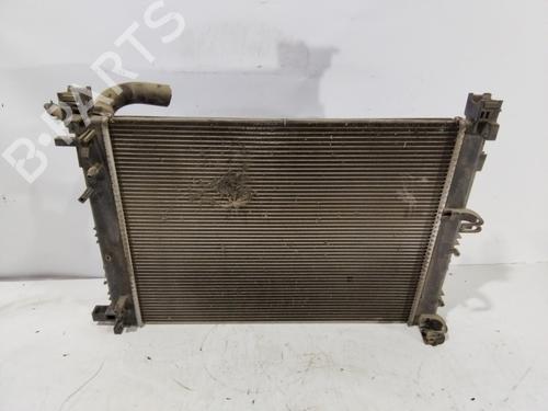 Water radiator DACIA SANDERO II | BP30978172M31