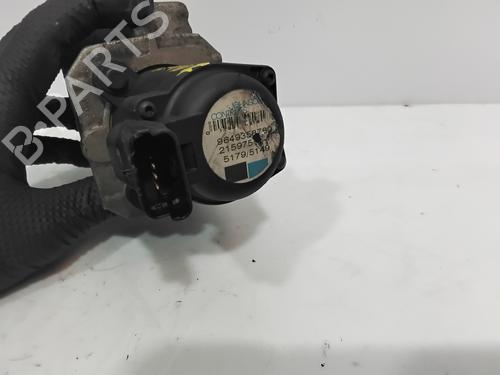 Egr PEUGEOT 307 Break (3E)  | BP29982553M69 