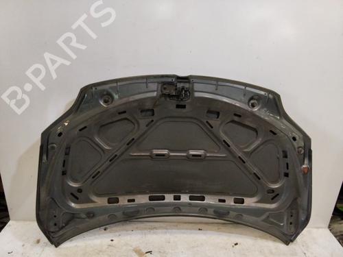 Hood VW GOLF PLUS V (5M1, 521)  | BP18019542C1 