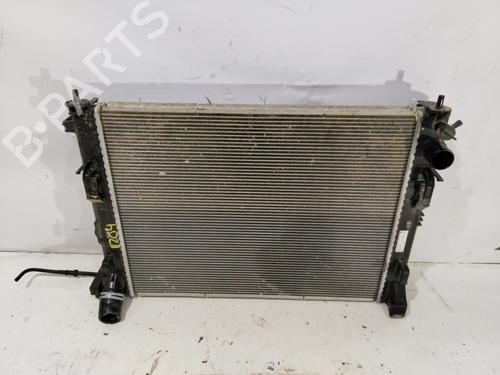 Used Water radiator Water radiator RENAULT ARKANA I (LCM_, LDN_) [2019-2026] 33649456 33649456