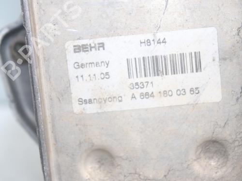 Oliekøler SSANGYONG REXTON / REXTON II (GAB_) 2.7 Xdi | BP17383508M33 