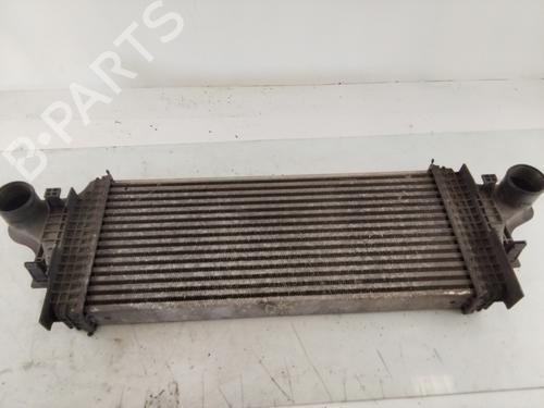 Intercooler MERCEDES-BENZ R-CLASS (W251, V251) [2005-2017]  27564263