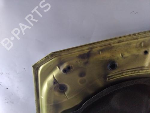 Hood RENAULT MEGANE II (BM0/1_, CM0/1_)  | BP20656964C1 