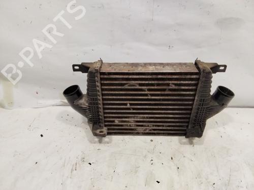 Intercooler NISSAN CABSTAR E (TL_, VL_)  | BP23848273M30 