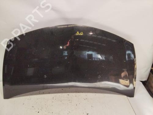 Used Hood RENAULT CLIO III (BR0/1, CR0/1) [2005-2014]  24989064