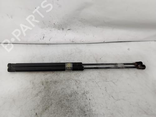 Used Tailgate lift support DACIA SANDERO [2008-2025]  27604053
