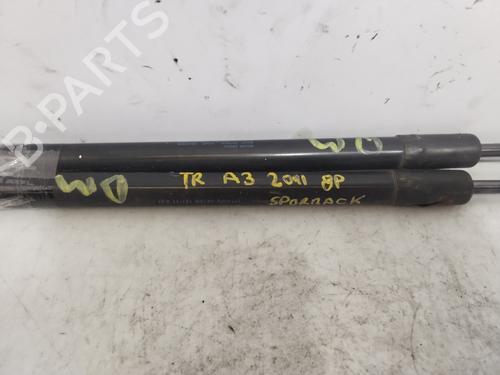 Tailgate lift support AUDI A3 (8P1)  | BP27469568C138 