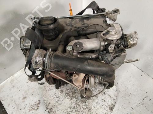 Engine SEAT IBIZA III (6L1)  | BP25925398M1 