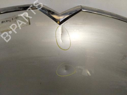 Hood CITROËN C4 Picasso I MPV (UD_)  | BP19095977C1 