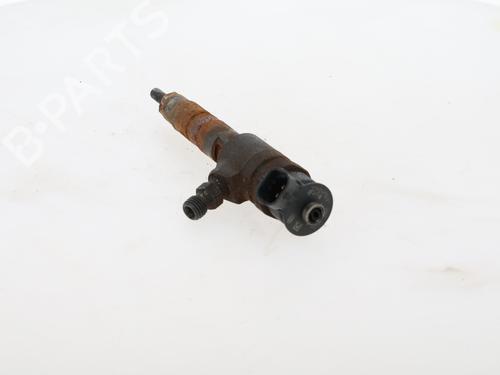 Injector CITROËN C3 II (SC_) | BP29612117M100