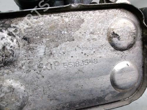 Oliekøler LANCIA MUSA (350_)  | BP14053323M33 