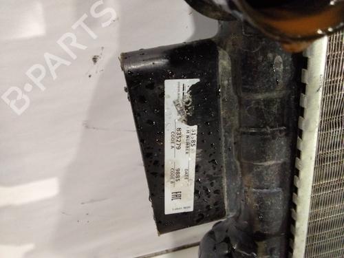 Water radiator IVECO DAILY III Platform/Chassis 29 L 13 | BP32289943M31